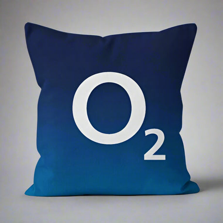 Promotional Cushions